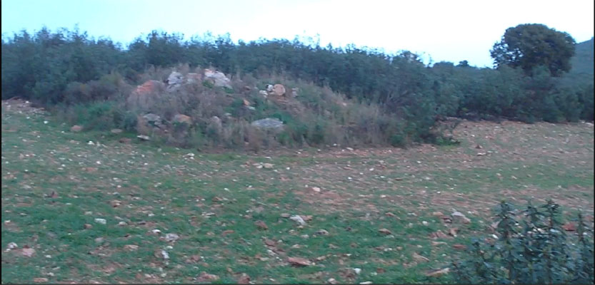 Captura de pantalla 49