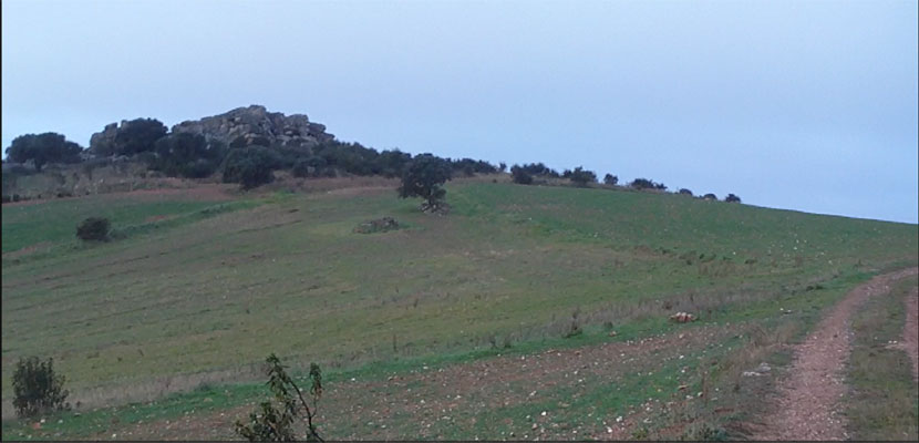 Captura de pantalla 50