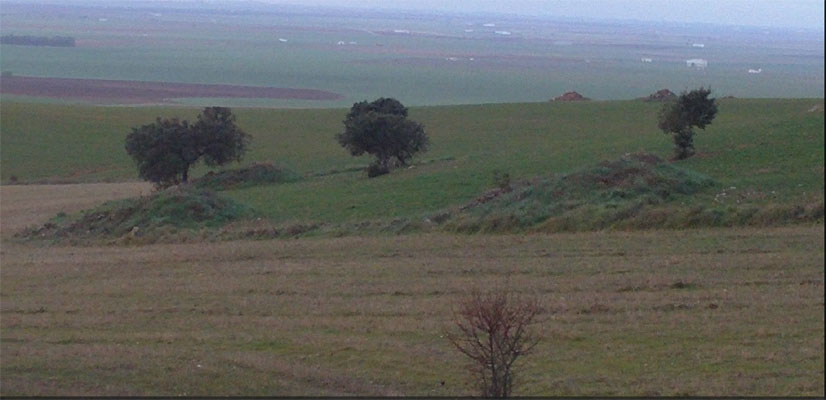 Captura de pantalla 51