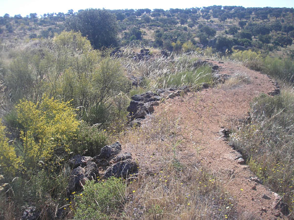 P6130183