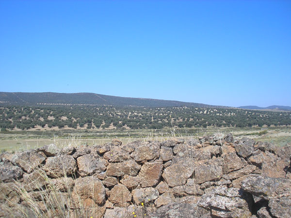 P6130186