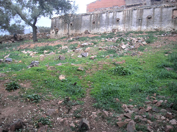 trasera de tamburrero1